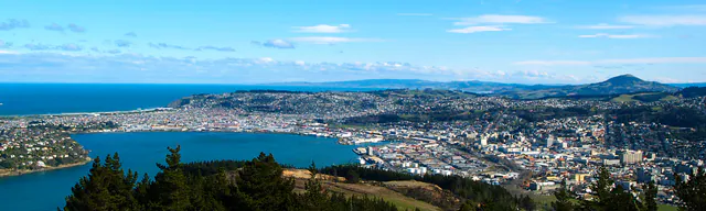 Hafen Dunedin