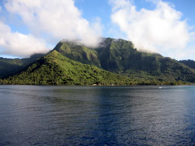 Hafen Moorea