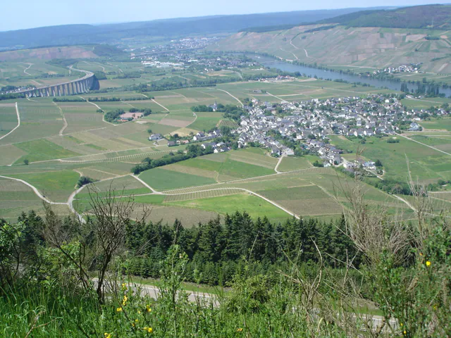 Hafen Riol