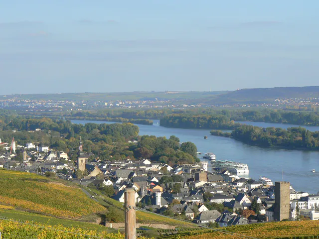 Hafen Rüdesheim
