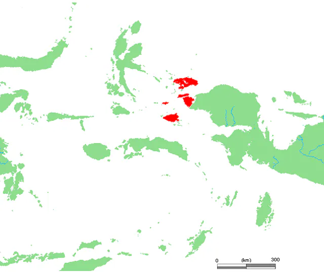 Hafen Raja Ampat