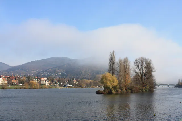 Kreuzfahrt Neckar