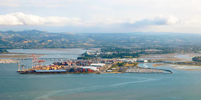 Hafen Tauranga